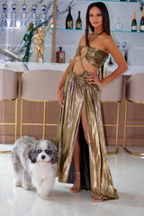 Belle Isles Bronze Gold cutout dress | Social Girls Miami